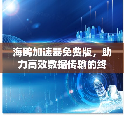 海鸥加速器免费版,助力高效数据传输的终极选择