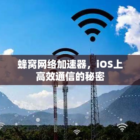 蜂窝网络加速器,iOS上高效通信的秘密