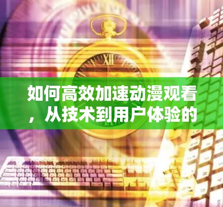 如何高效加速动漫观看，从技术到用户体验的深入分析