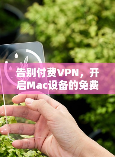 告别付费VPN,开启Mac设备的免费VPN体验