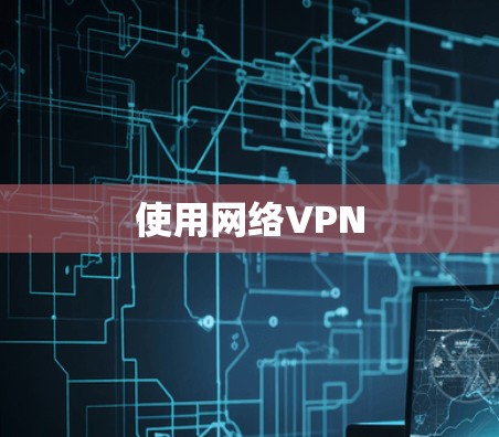 使用网络VPN 使用网络VPN