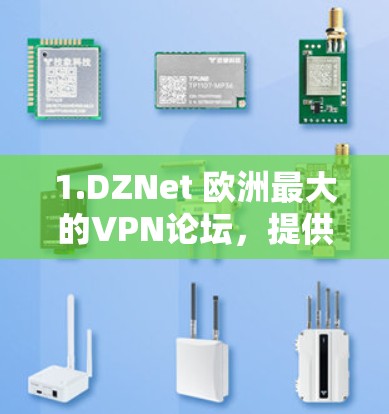 1.DZNet 欧洲最大的VPN论坛,提供大量的视频、游戏和书籍资源免费共享