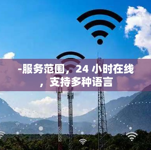 -服务范围,24 小时在线,支持多种语言
