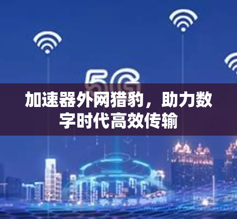 加速器外网猎豹,助力数字时代高效传输