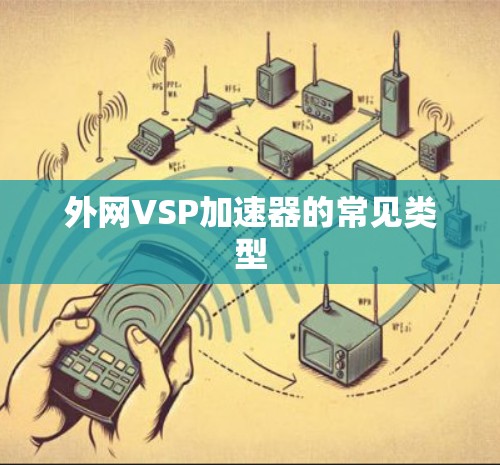 外网VSP加速器的常见类型