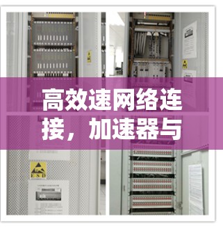 高效速网络连接，加速器与VPN的高效使用方法