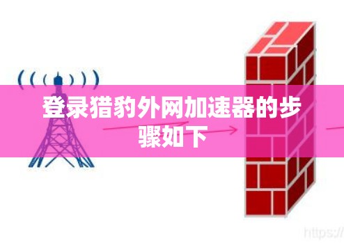 登录猎豹外网加速器的步骤如下