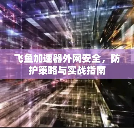 飞鱼加速器外网安全,防护策略与实战指南