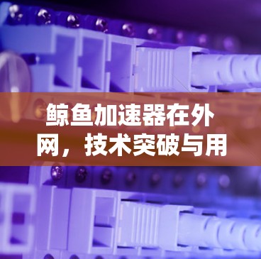 鲸鱼加速器在外网,技术突破与用户体验 鲸鱼加速器在外网,技术突破与用户体验