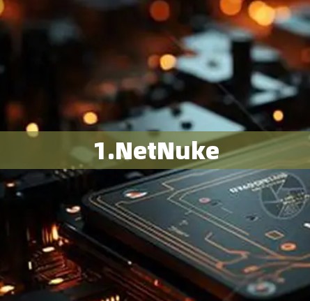 1.NetNuke 1.NetNuke