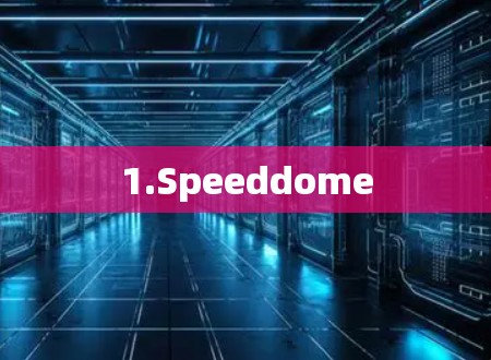 1.Speeddome 1.Speeddome