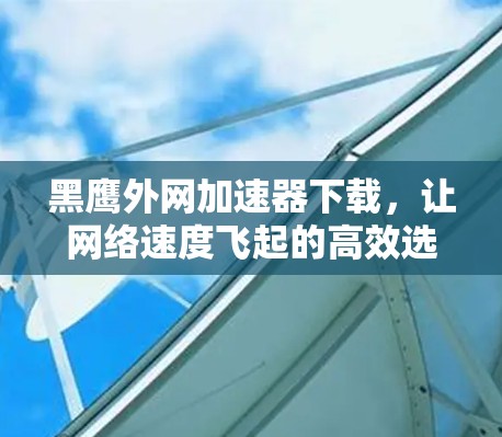 黑鹰外网加速器下载,让网络速度飞起的高效选择 黑鹰外网加速器下载,让网络速度飞起的高效选择