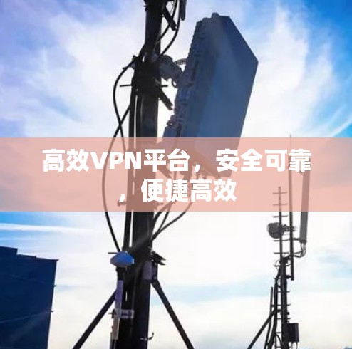 高效VPN平台,安全可靠,便捷高效 高效VPN平台,安全可靠,便捷高效