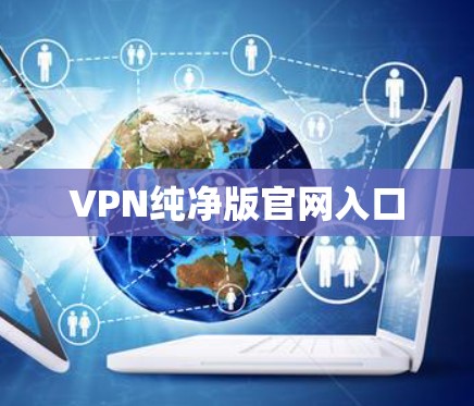 VPN纯净版官网入口