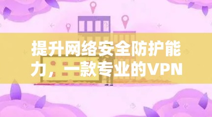 提升网络安全防护能力，一款专业的VPN安全防护版