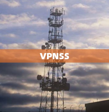 VPNSS