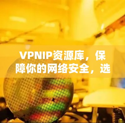 VPNIP资源库，保障你的网络安全，选择你！