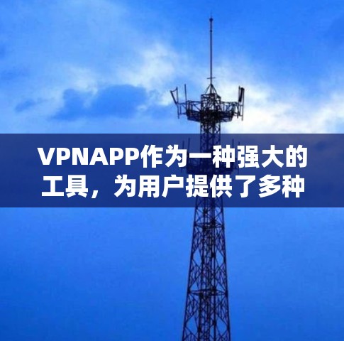 VPNAPP作为一种强大的工具，为用户提供了多种加密和解密功能，从而保护隐私并提高下载效率。以下是对VPNAPP的详细介绍，帮助用户更好地了解和使用这些服务