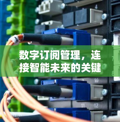 数字订阅管理,连接智能未来的关键 数字订阅管理,连接智能未来的关键