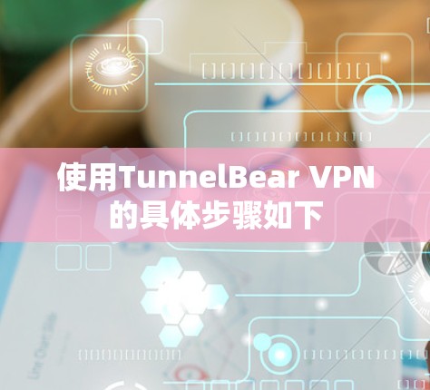 使用TunnelBear VPN的具体步骤如下