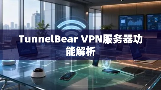 TunnelBear VPN服务器功能解析