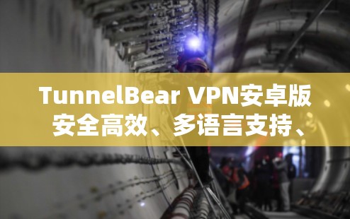 TunnelBear VPN安卓版 安全高效、多语言支持、便捷连接