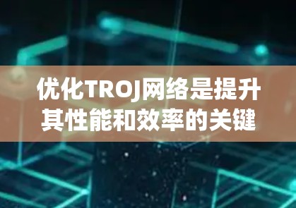 优化TROJ网络是提升其性能和效率的关键步骤。以下是对TROJ网络优化的总结和实施建议