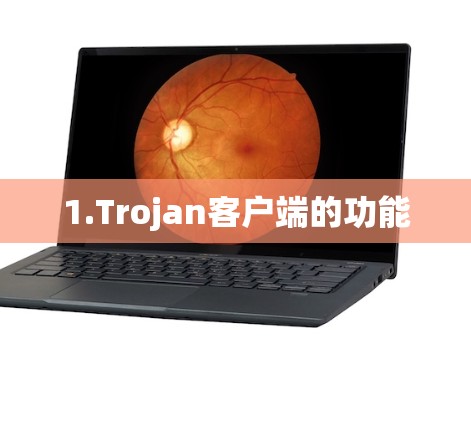 1.Trojan客户端的功能