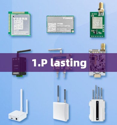 1.P lasting 1.P lasting