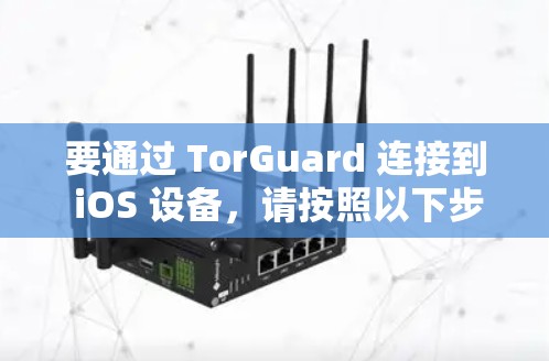 要通过 TorGuard 连接到 iOS 设备，请按照以下步骤操作