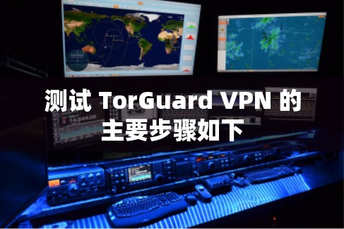 测试 TorGuard VPN 的主要步骤如下