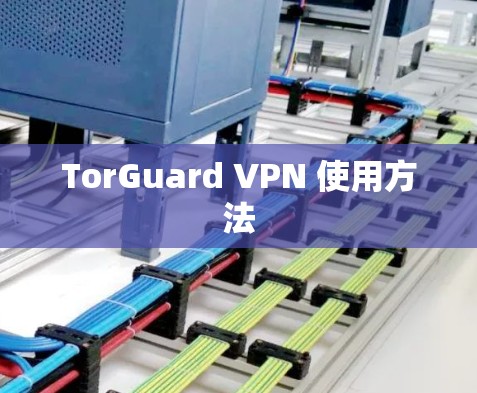 TorGuard VPN 使用方法