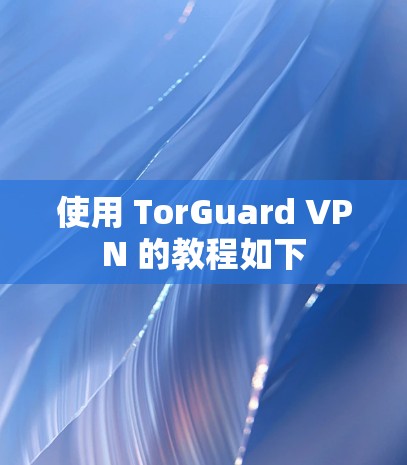 使用 TorGuard VPN 的教程如下