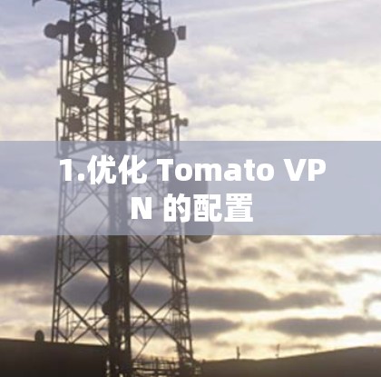1.优化 Tomato VPN 的配置