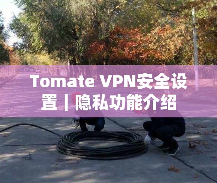 Tomate VPN安全设置｜隐私功能介绍