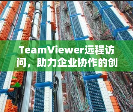 TeamViewer远程访问,助力企业协作的创新解决方案 TeamViewer远程访问,助力企业协作的创新解决方案