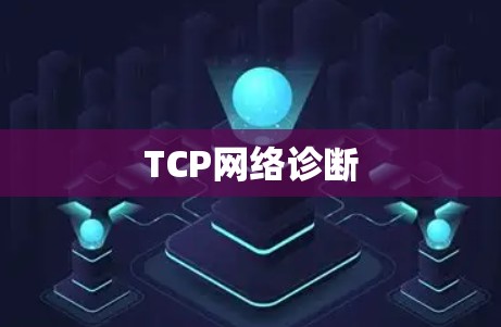 TCP网络诊断