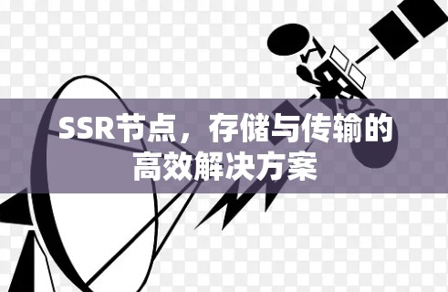 SSR节点,存储与传输的高效解决方案 SSR节点,存储与传输的高效解决方案