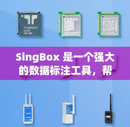 SingBox 是一个强大的数据标注工具，帮助用户高效地创建数据集。以下是对SingBox的配置指南的总结和建议