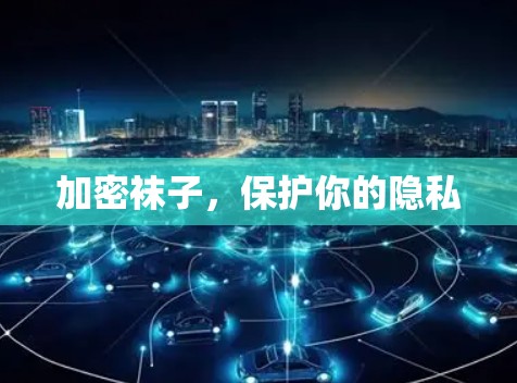 加密袜子,保护你的隐私 加密袜子,保护你的隐私