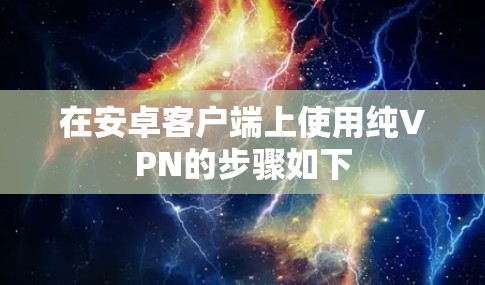 在安卓客户端上使用纯VPN的步骤如下 在安卓客户端上使用纯VPN的步骤如下