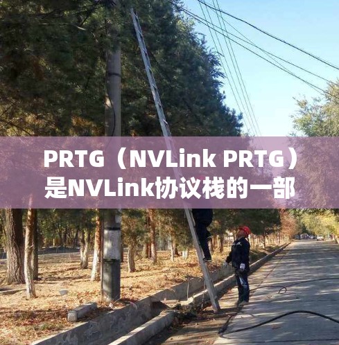 PRTG(NVLink PRTG)是NVLink协议栈的一部分,用于加速网络通信,提升带宽和稳定性。以下是PRTG配置的详细步骤 PRTG(NVLink PRTG)是NVLink协议栈的一部分,用于加速网络通信,提升带宽和稳定性。以下是PRTG配置的详细步骤