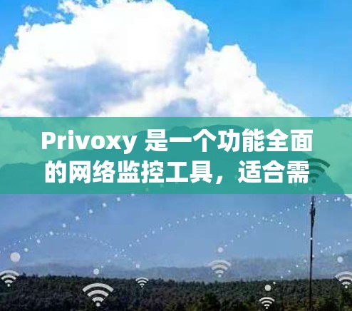 Privoxy 是一个功能全面的网络监控工具，适合需要实时监控网络设备和流量管理的用户。以下是对其进行全面评测的总结