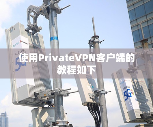 使用PrivateVPN客户端的教程如下