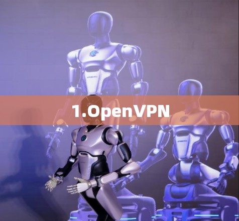 1.OpenVPN