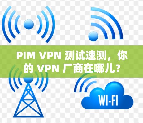 PIM VPN 测试速测，你的 VPN 厂商在哪儿？
