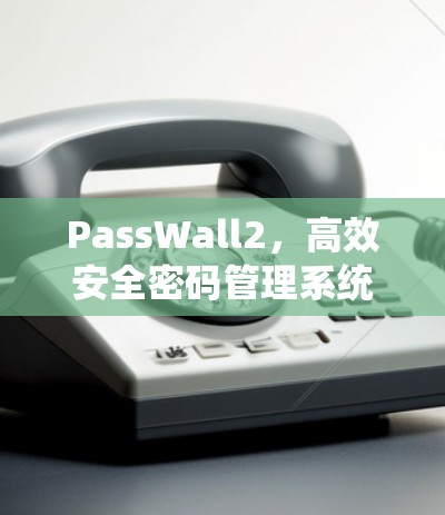 PassWall2,高效安全密码管理系统—使用指南 PassWall2,高效安全密码管理系统—使用指南