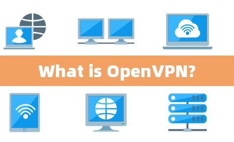 What is OpenVPN?
