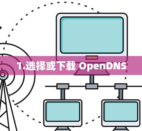 1.选择或下载 OpenDNS 1.选择或下载 OpenDNS