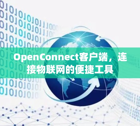 OpenConnect客户端,连接物联网的便捷工具 OpenConnect客户端,连接物联网的便捷工具